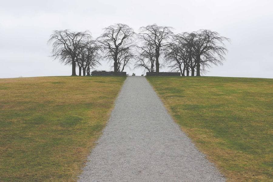 A gravel path leading up a grassy hill toward a stand of trees